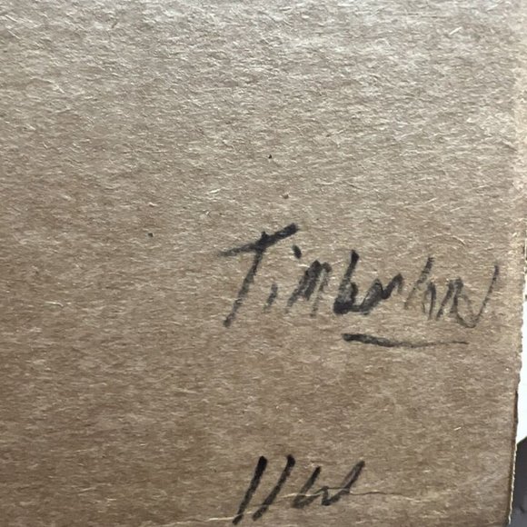 Timberland Pro Mens 6” Titan Waterproof Boot Brown Size 11W - Picture 6 of 6